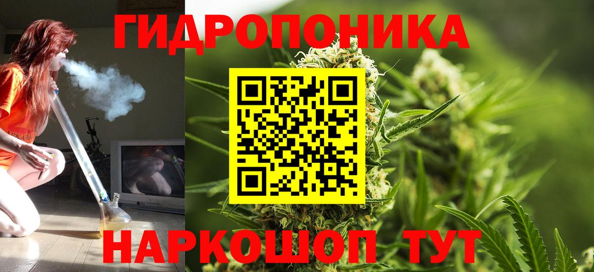 Кизилюрт  Шишки марихуана сатива  Вход с VPN  Шишки марихуана конопля  Шишки марихуана план 